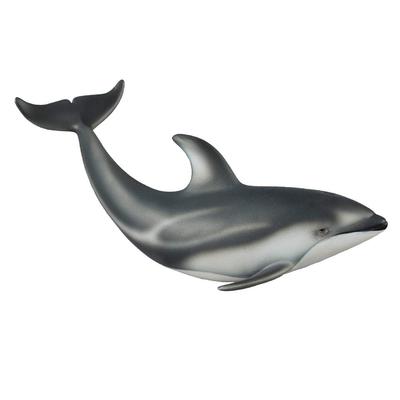 Collcta Pacific Dolphin White-sided