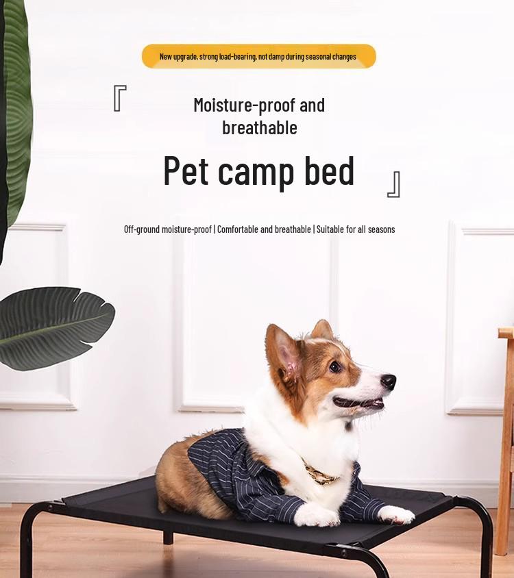 Four Seasons Moisture-Proof Off-Ground Pet Bed - Large & Small Dog Sleeping Mat