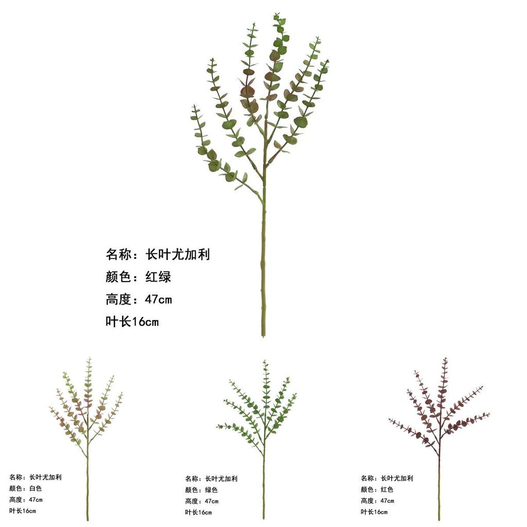 Plastic Eucalyptus Branch For Home Decoration And Creative Photography Projects