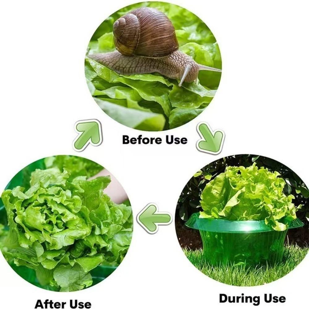 10PCS Plastic Vegetable Slug Collars Thickened Insect-Proof Plant Protection Covers Bite Protection Barrier Round
