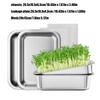 Stainless Steel Bean Sprout Cultivation Set Seedling Tray Hydroponic Cat Grass Tray Planting Tray Rectangular Planting Tray
