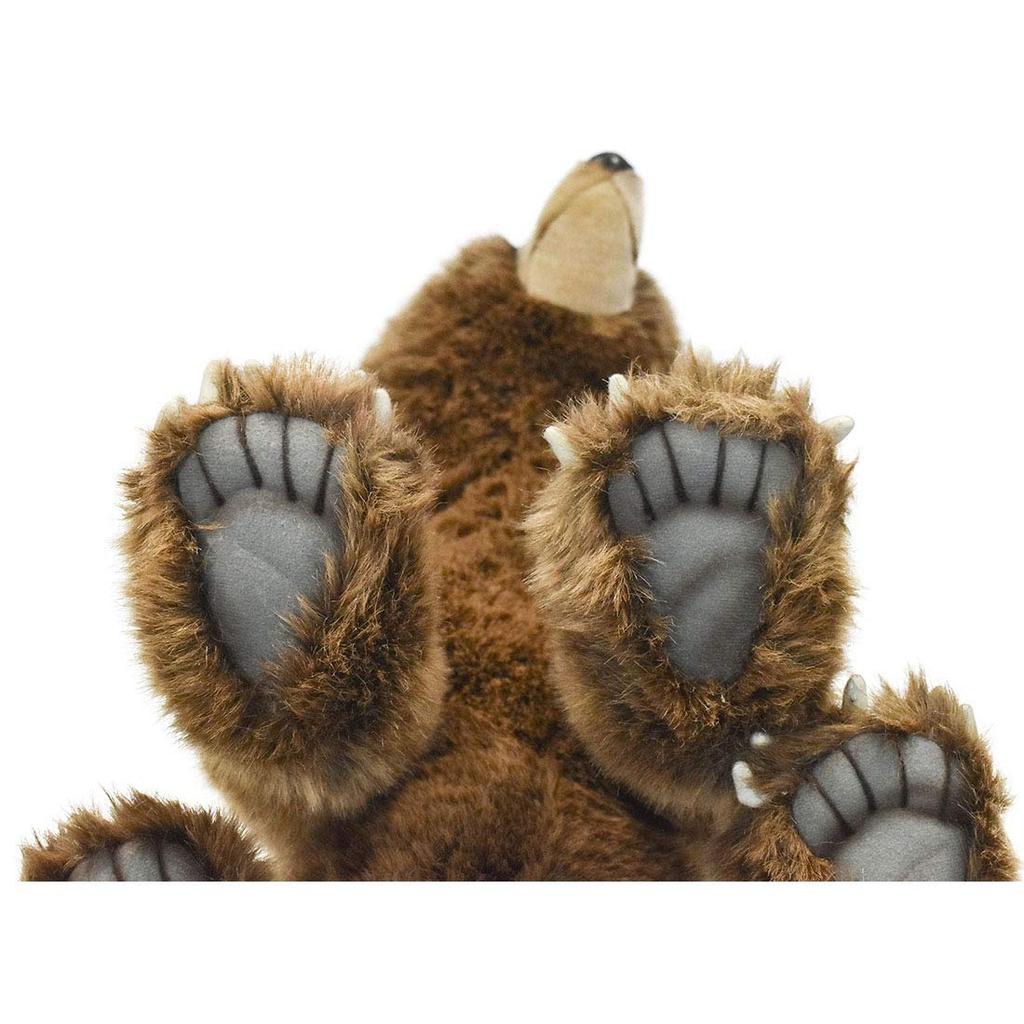 Braunbär Nr. 5731