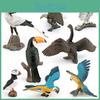 Wildlife Bird Figurine Macaw Plastic Model For Collector Display