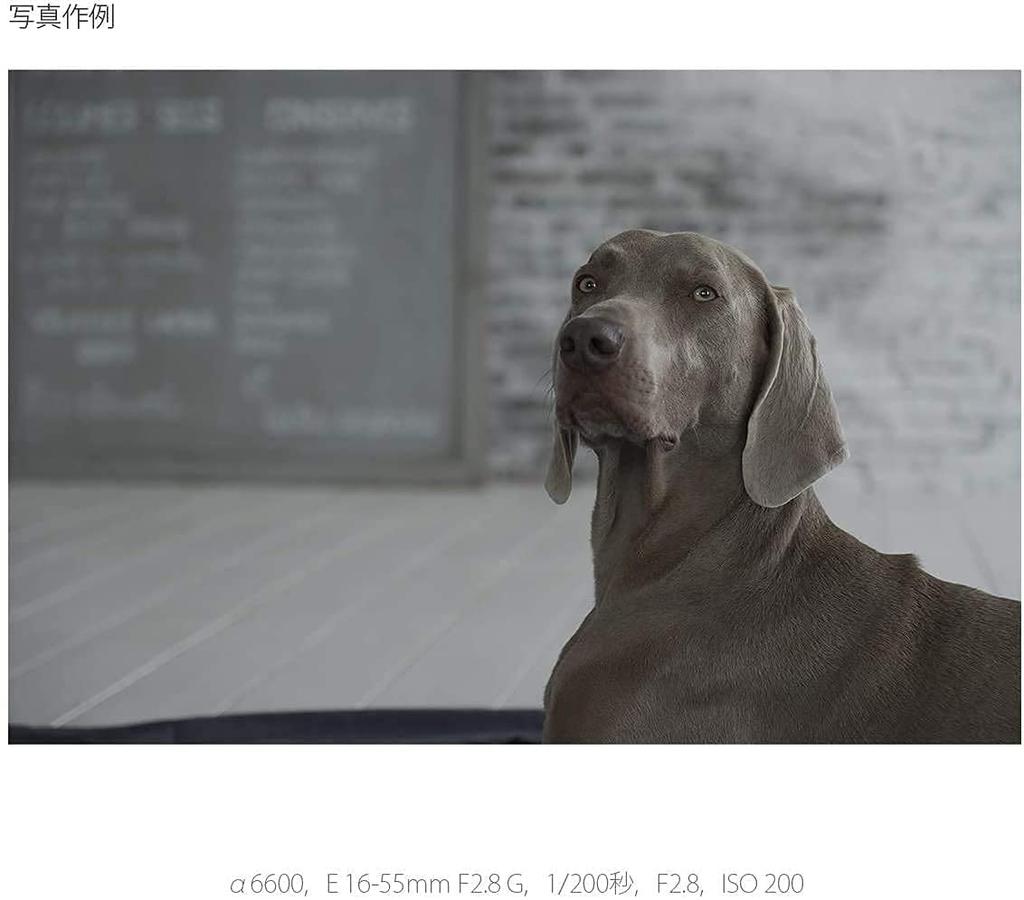 Sony Standard-Zoomobjektiv, EGG-Objektiv, Originalobjektiv für digitale Einzelobjektivkamera SEL1655G APS-C 16–55 mm F2.8 [E-Mount]