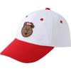 GAP Toddler Boys' Bear Embroidered Color Block Baseball Cap