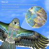 1.65M/1.45M/1.2M New Arrive Outdoor Fun Sports Eagle Kite Flying Bird Kites For Kids Or Adults Good Flying