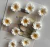 3D Harzblumen Kühlschrankmagneten Set von 10 Küchen Dekorative Magnete Kleine Gänseblümchen Form Magnetische Kühlschrankaufkleber
