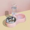 Food Grade ABS Automatic Pet Feeder Water Dispenser Combo Smart Timer Portion Control Circulating Filter for Cats Small Dogs
