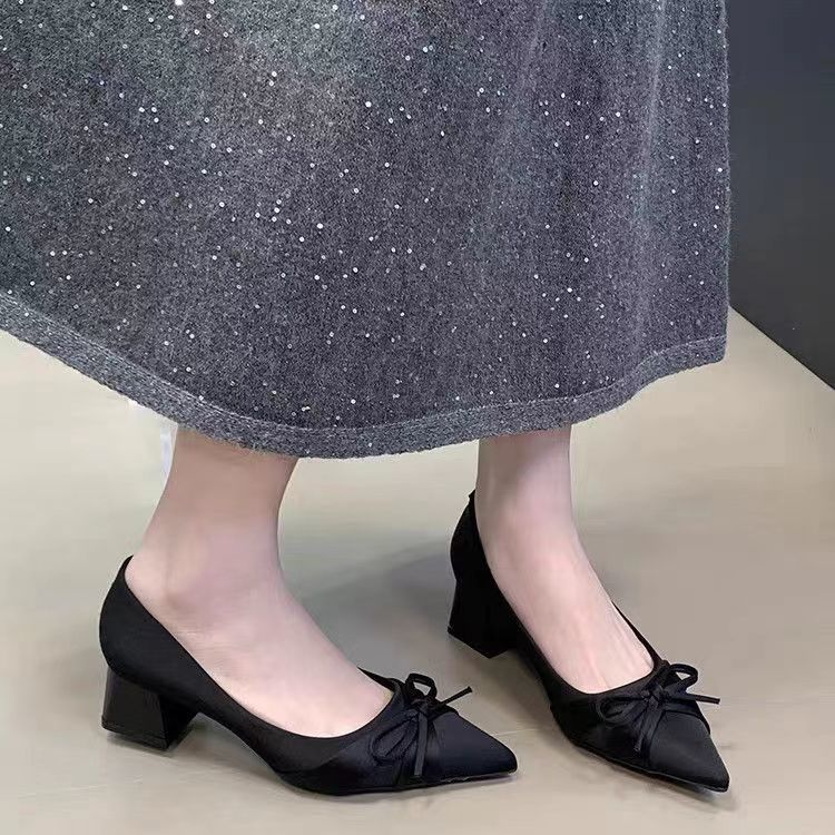 Elegant temperament thick heel single shoes year-round legs long pointed head satin Korean version high heels college style