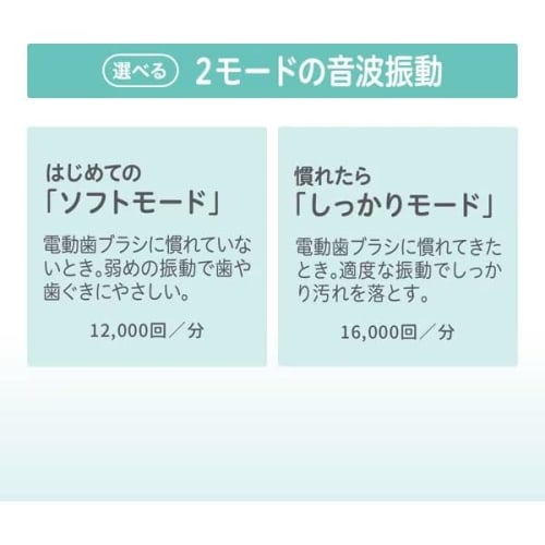 Pigeon First-Time Finishing Electric Toothbrush Set (5-Piece Set) with 2 Replacement Brushes and a Bonus Gift with Kunutonn Original Logo