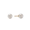 verte [14k gold] Deux.k.9 / haute pearl earring (8mm)