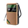 Rechargeable Multifunctional Radio with Auto Search & Large Volume for Seniors