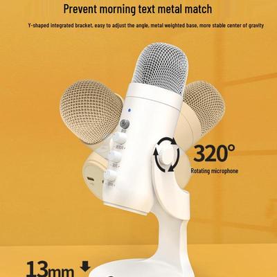 Accessori per audio e video – Microfoni