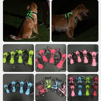 Perros – Collares y correas