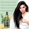 Hoegoa Rosemary Hair Care Oil – Nourishing, Moisturizing, Repairing, Hydrating, Smooth, and Softening Hair Care Oil