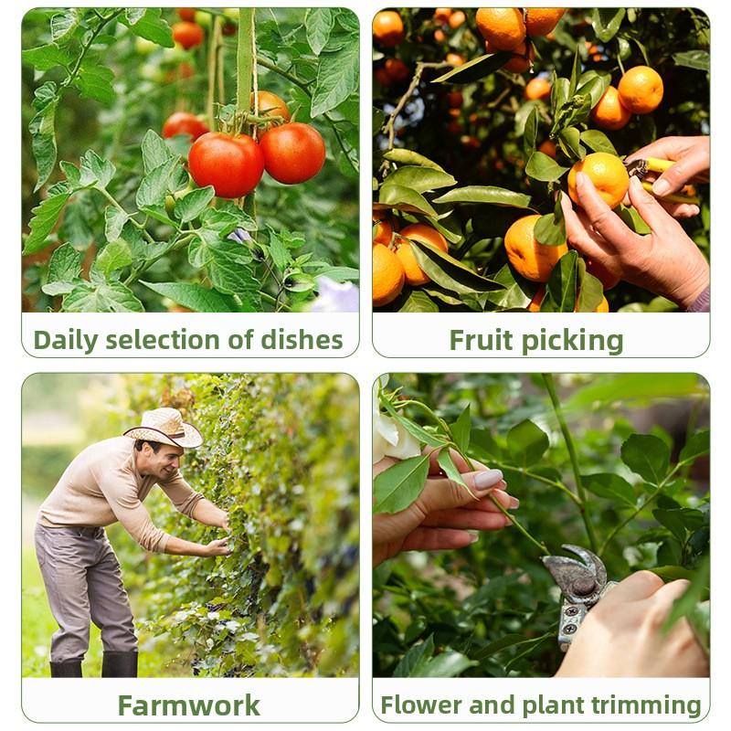 Moderne Schlichtheit Pflücken Kleiner Schneider für Gemüse und Obst