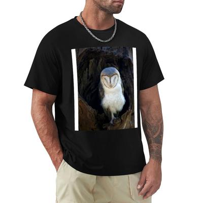 Sleeping Barn Owl TShirt Topping Graphic Tee Shirt Custom T Shirt Mens Cotton Tshirt