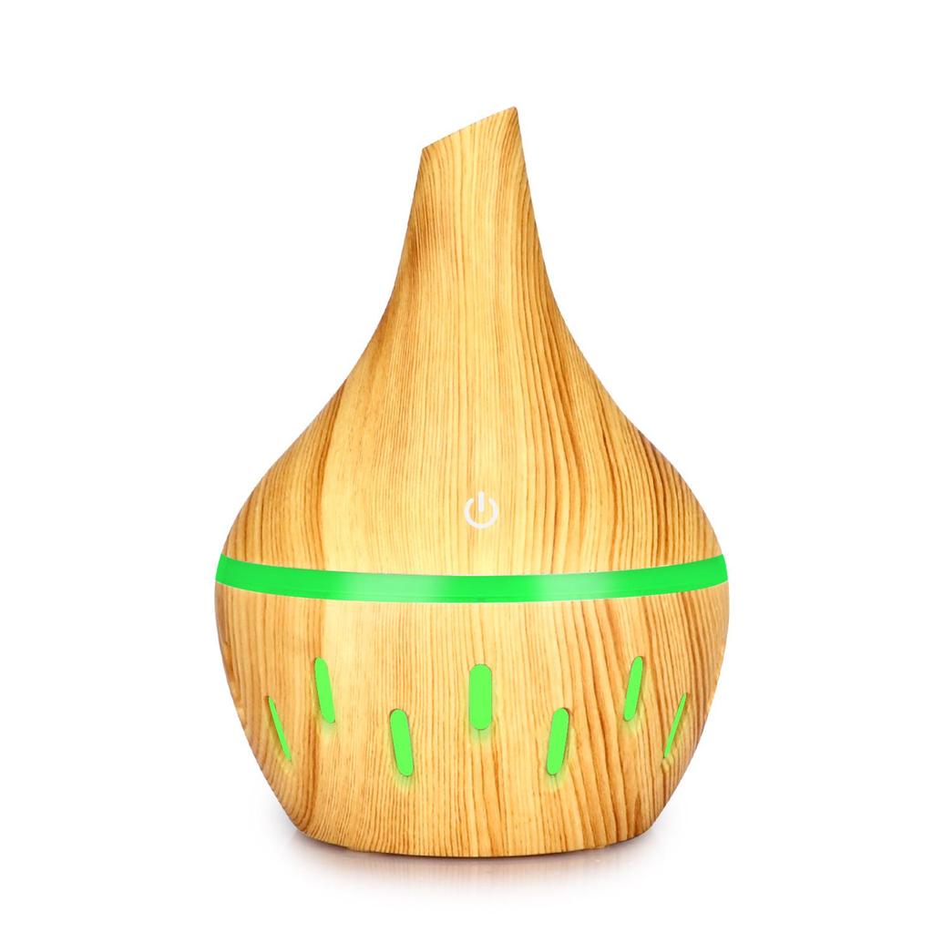USB Rechargeable Indoor Air Purifier & Humidifier Atomizer