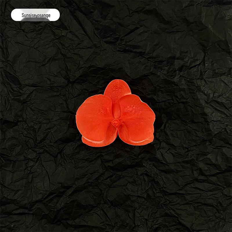 Xin Sheng Fresh Floral Spray Paint - Dark Plum & Barbie Pink for DIY Flower Art