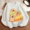 Children's Fashion Capibara Hoodies, Spring and Autumn Boys' and Girls' Casual Hoodies