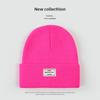 Autumn and Winter Knitted Hat Niche Personality Fashion Melon Rind Wool Hat Warm Protection Amount Simple Letter Cloth Label Cold Hat