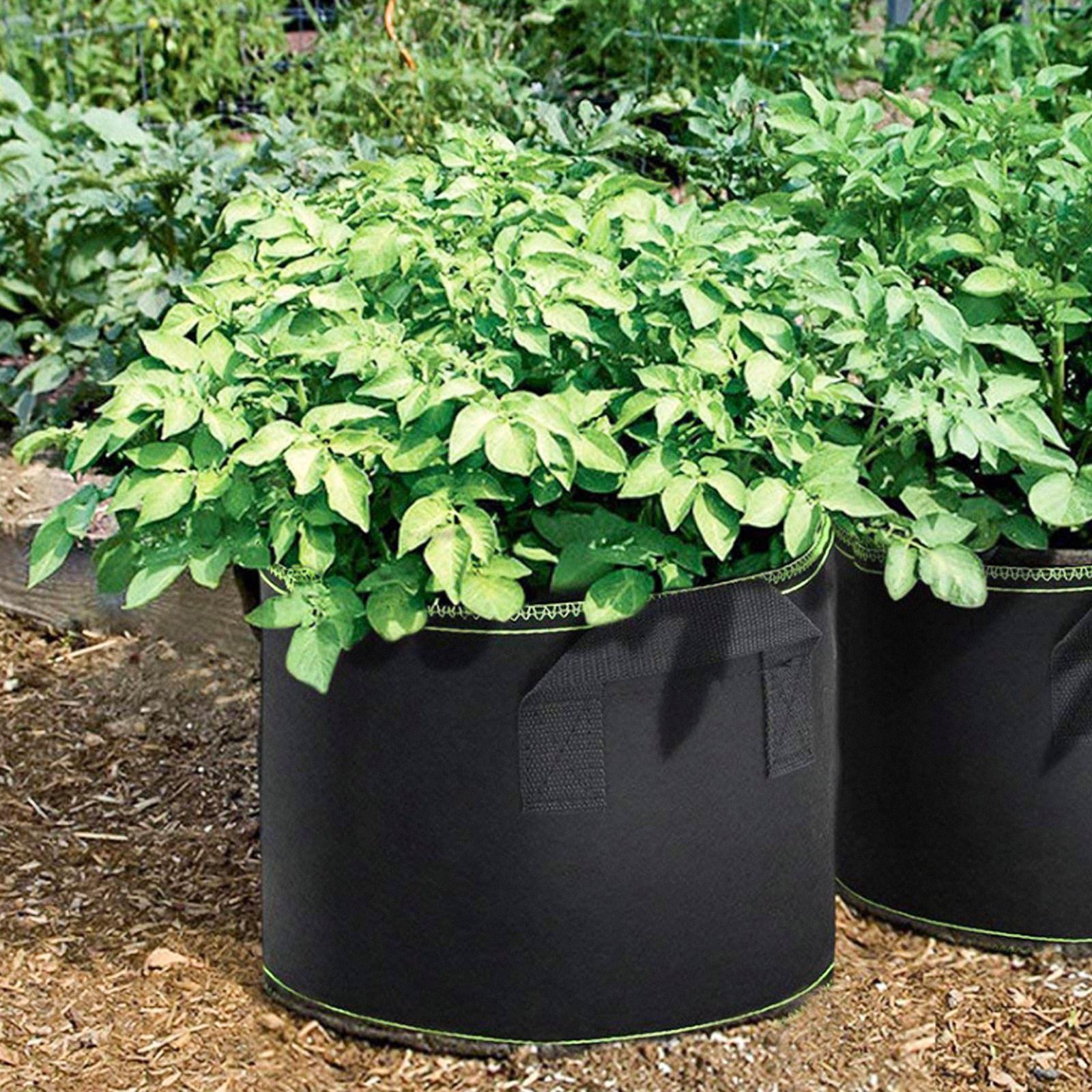 

5Pcs Premium Non-Woven Plant Growing Bags Heavy Duty Drainage Retention Garden Plant Pouches for Balcony Farm Outdoor Use 28X28X26CM