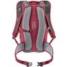 Backpack Deuter Race 12 Cherry/masala (3204123-5598)