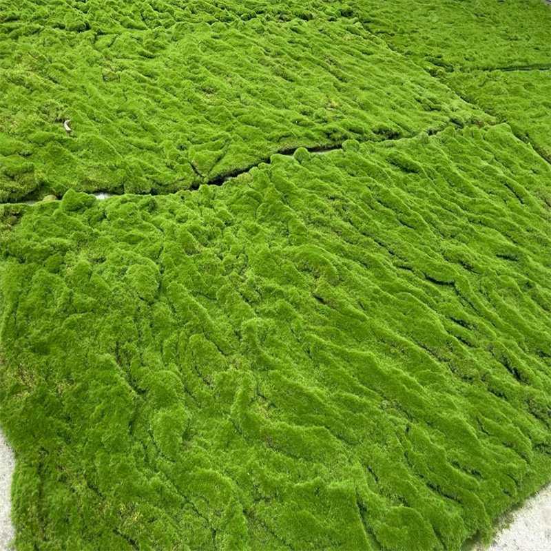 Artificial Moss Stone Decor: Green Hairy Stone Prop for Photography and Bonsai Landscaping