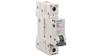 Interruttore automatico SENTRON 5SL6 1P B 32A 6kA AC 5SL6132-6