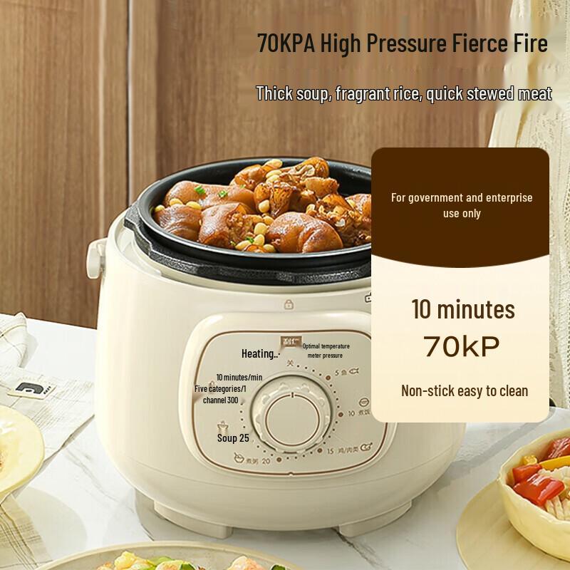 Liren Electric Pressure Cooker