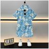 Trendy Boys' Street Style Summer Beachwear Two-Piece Set