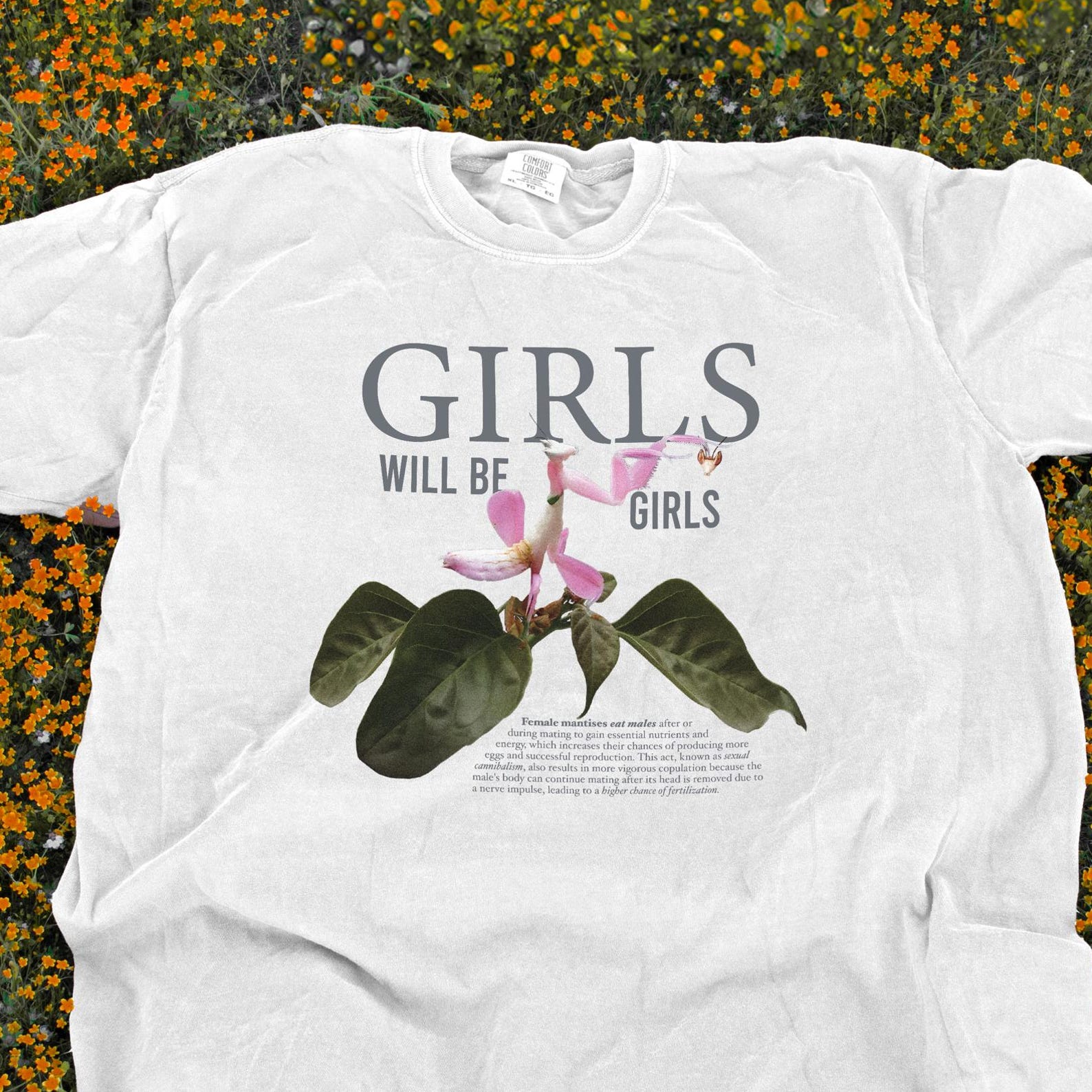 Girls Will Be Girls Shirt, 100% Cotton CC1717 Tee, Praying Mantis Tee, Adult Bug Tshirt, Funny Insect Shirt, Entomologist T, Insect T-Shirt S