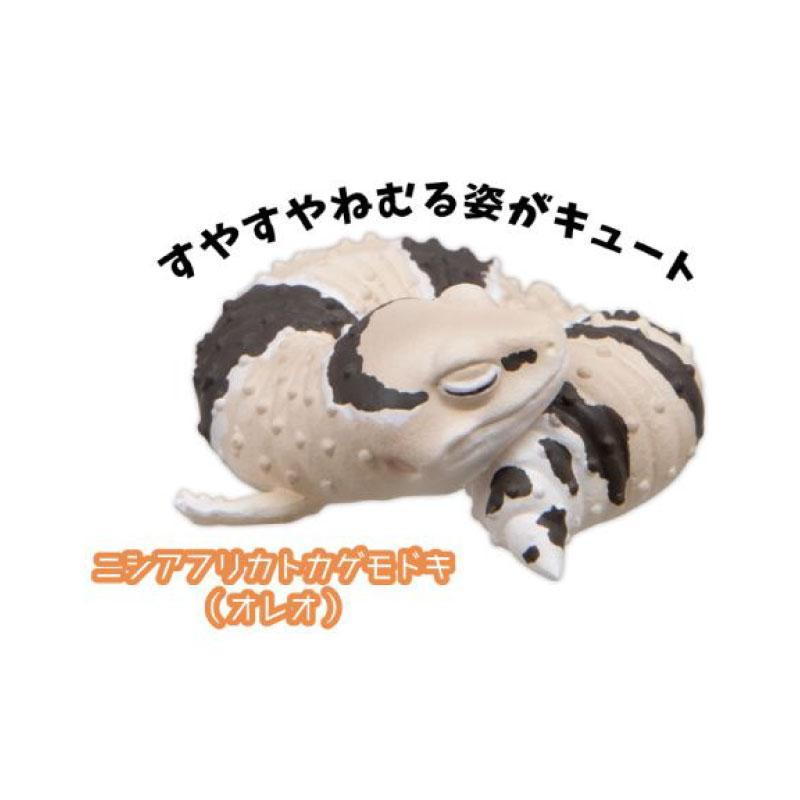 Genuine Gacha Scale Model The Guardian of Sleep Sleeping Reptile Lizards Decorative Item Action Figure Toys