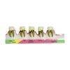 Demonstration Tooth Model Soft Education Clean Display Removable Dental Model Dental Teaching Teaching Tool Standard Tooth
