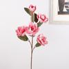 Floral Art Simulation Big Magnolia Real Touch Artificial Orchid Flowers  Living Room Desktop