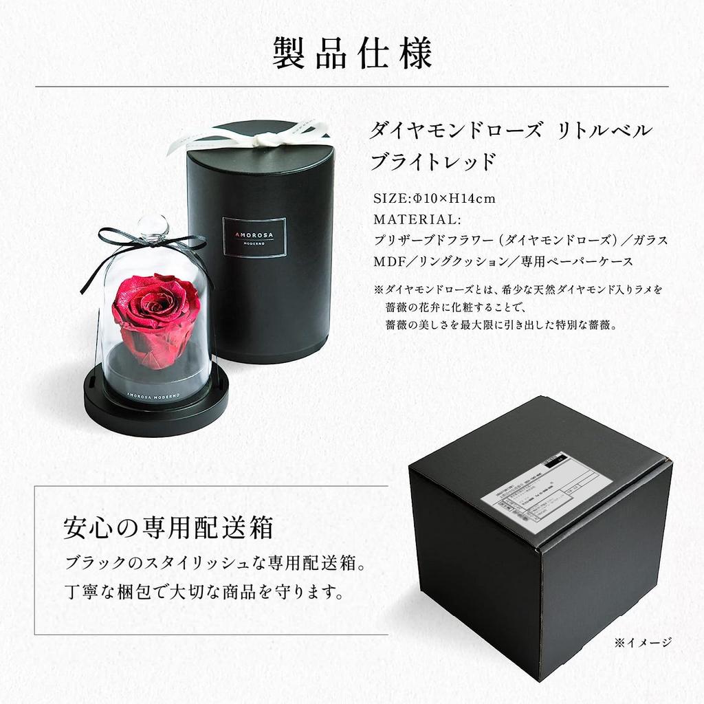 AMOROSA Preserved Flowers, Diamond Rose, Little Bell, Bright Red Rose, Gift, Flowers, Birthday, Wedding, Anniversary, Proposal, Dried Flowers, AM19-30