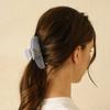 [Custom Order]_CUSTOM CHARMING CLIP_13 COLOR