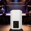 Weishu YE10 Professional 10-inch Full-Range Passive Speaker (CN version)