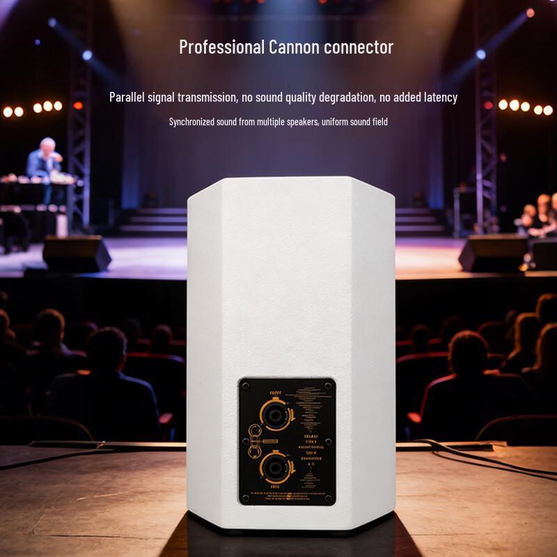 Weishu YE10 Professional 10-inch Full-Range Passive Speaker (CN version)