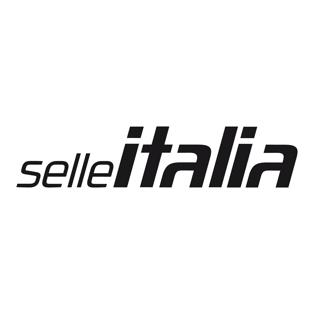セライタリア(Selle Italia) SELLE ITALIA NOVUS BOOST EVO S.F Ti316 L