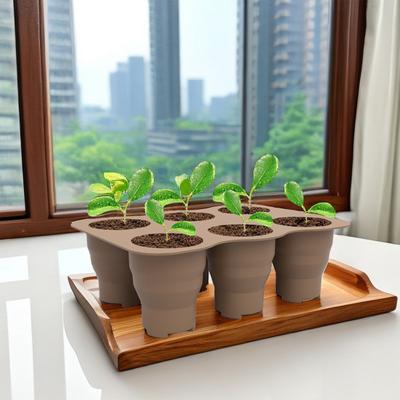 Bahçe Yetiştirme Tepsisi Bonsai Bitki Başlangıç Seti 6 Büyük Hücre Kolay Çimlenme