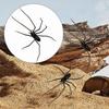 3D Design Spiders Decoration Magnet Spider Prank Toys Gag Present Simulation Spider Toy  Prank Gift
