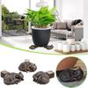 3Pcs Mini Plant Pot Feet Cat Dog Design Flower Pot Risers Holders Stand Holder