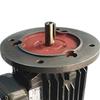 Dedong Vertical Three-Phase Asynchronous Motor