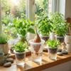 Transparent Plastic Hydroponic Mesh Cups Root View Cups Vegetable Nursery Clear Hydroponic Pots Planting Container