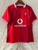 Wales Home & Away Rugby Jersey 2025-26 Men's Short Sleeve Sports Shirt