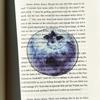Marque-page en acrylique en forme de fruit Pomme Raisin Simulation Marque-page de lecture transparent Papeterie d'apprentissage Jouet pour enfants Cadeau