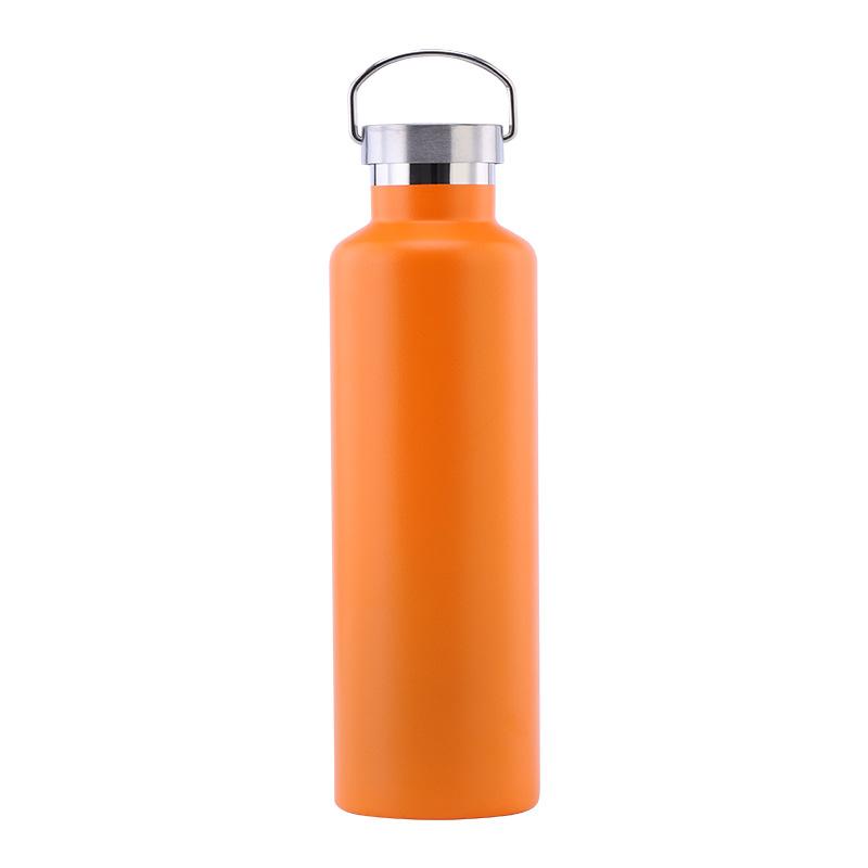 Stainless Steel Water Bottle with Handle Lid, Double Wall Vacuum Insulated Bottle for Sports Hiking Gym
