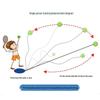 WEZHO Outdoor Tennis Trainer - 10-Pack Elastic Cord Balls
