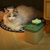 F26C Cat Water Dispenser Mute Working Automatic Pet Fountain Dogs Waterer for Indoor Pet Easy To Clean Healthy Drinking